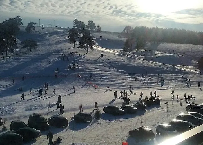 Stefy زلاتيبور