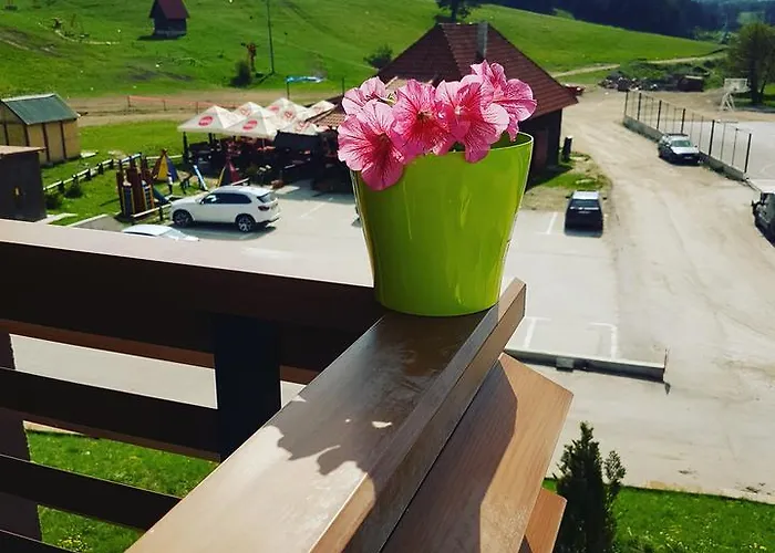 Stefy * زلاتيبور